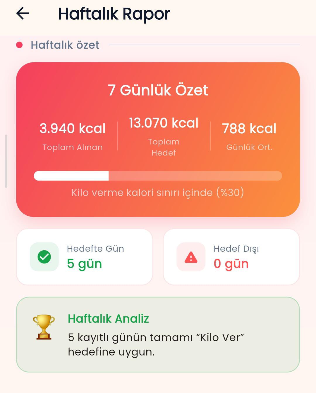 Haftalık rapor ekranı