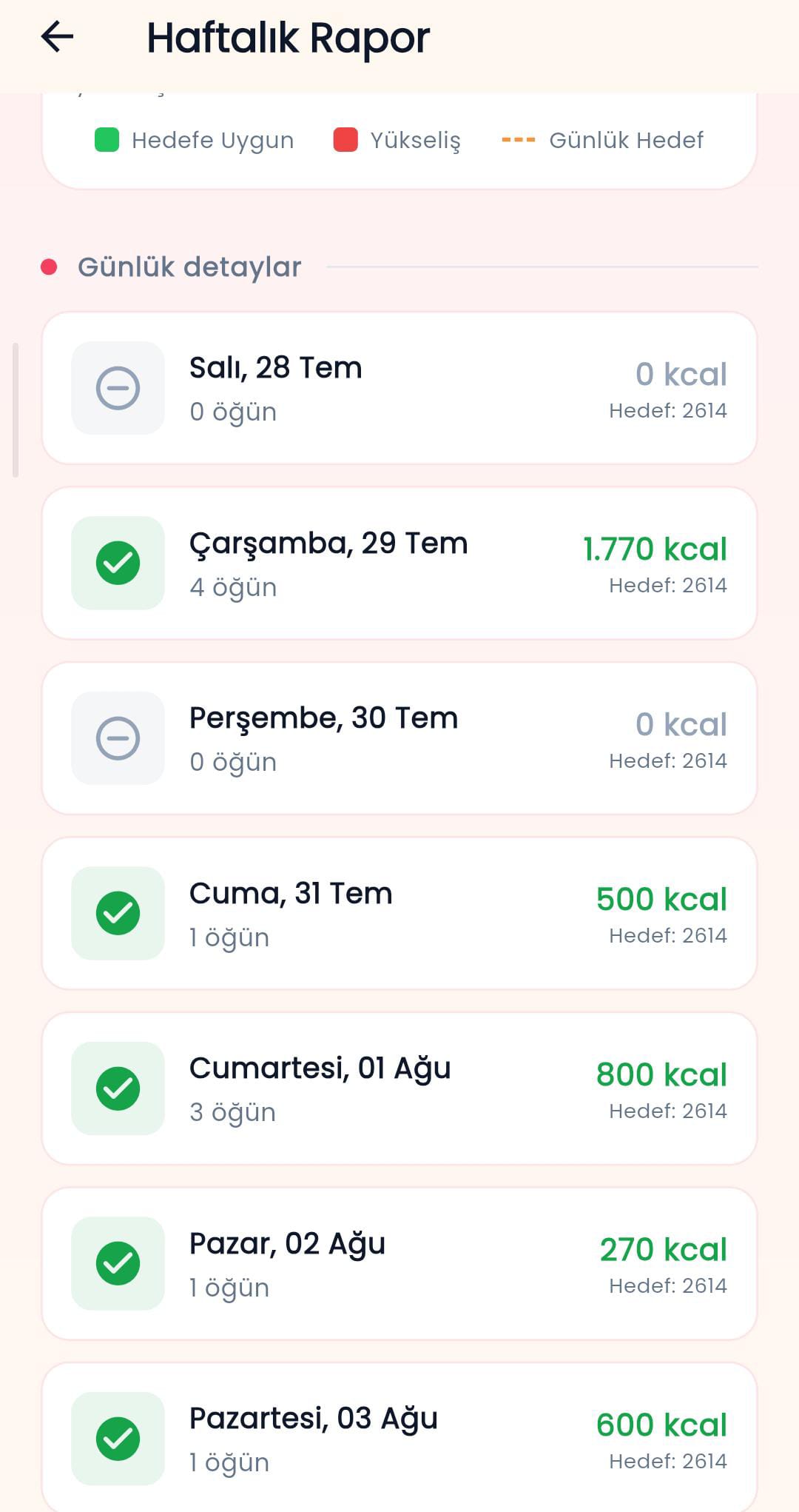 Haftalık rapor geçmişi