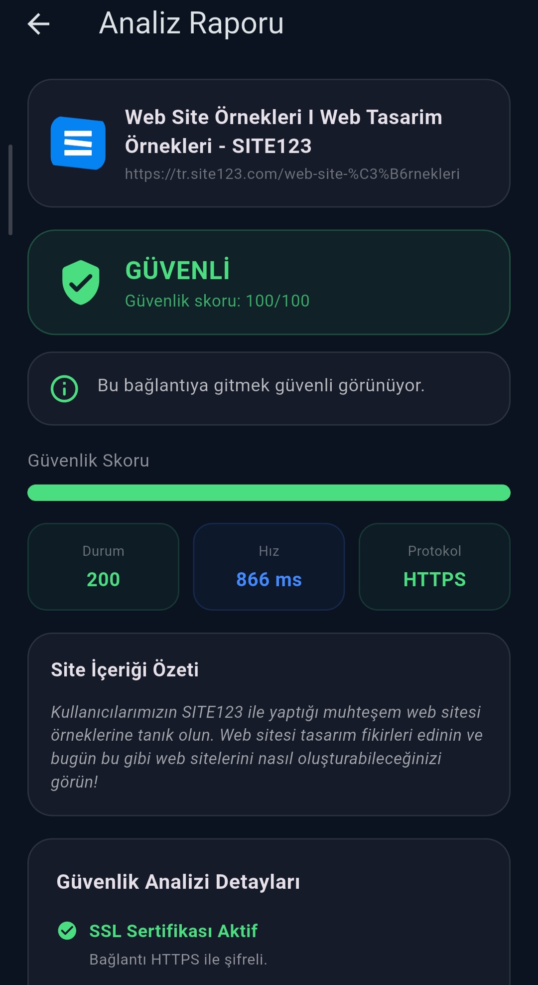 Analiz sonucu ve güvenlik skoru ekranı
